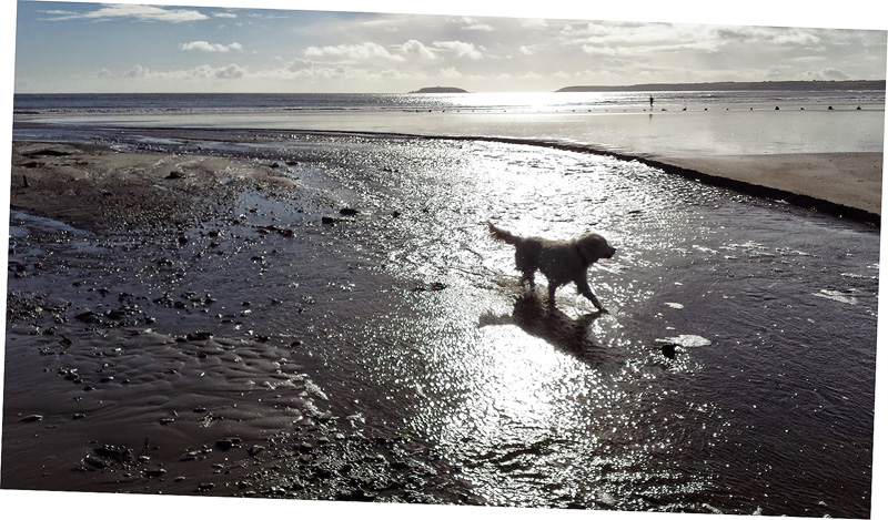 On the beach!
